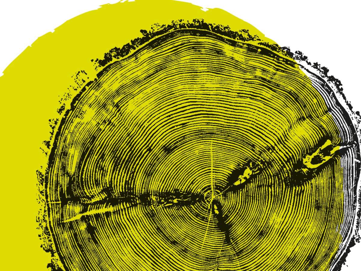 Comienza la VII edición del Festival&nbsp;Márgenes